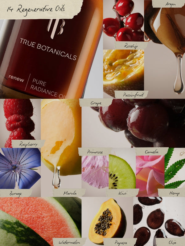 Renew Pure Radiance Oil | True Botanicals