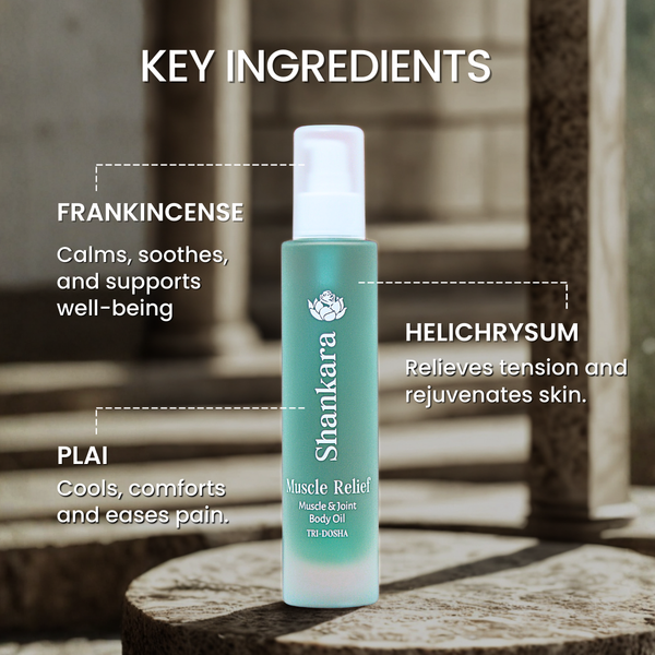 Bottle of Muscle Relief Oil | Shankara displayed on a stone surface with text highlighting key ingredients frankincense, helichrysum, and plai, and their benefits for calming, relieving tension, and easing pain.