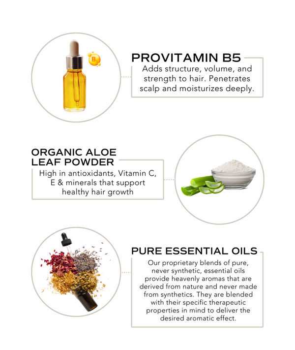 Close-up of ingredients used in Dry Shampoo | Essence One, featuring a dropper bottle of provitamin B5 oil, organic aloe leaf powder in a small glass bowl with aloe leaves, and a blend of dried flowers and pure essential oils in a dark glass bottle.