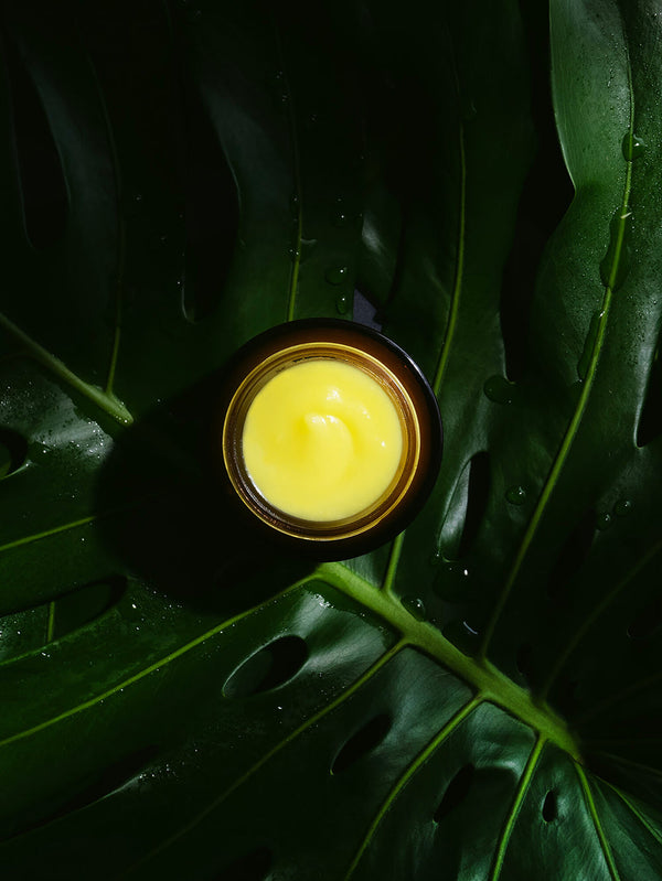 Ginger Turmeric Cleansing Balm | True Botanicals