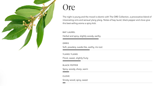 Close-up of bay laurel leaves with small buds alongside a detailed description of the Aromatic Candle | Zents featuring notes of bay laurel, orris, ylang ylang, black pepper, and clove.