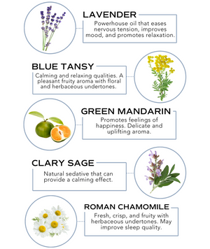 Illustration showing key ingredients of the Sleep Rollerball - Sleep Support | Essence One, including lavender for relaxation, blue tansy with calming aroma, green mandarin for uplifting feelings, clary sage as a natural sedative, and Roman chamomile to i