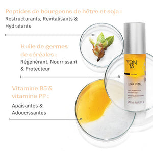 Elixir Vital Repairing Face Oil | Yon-Ka Paris bottle alongside close-ups of natural skincare ingredients including beech and soybean bud peptides, cereal germ oil, and vitamins B5 and PP.
