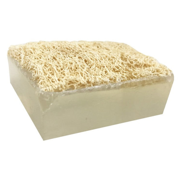 Clear soap bar with natural loofah embedded on top for exfoliating skincare, labeled Loofah Bar Soaps 5.0 oz. | Primal Elements, ideal for body care and wellness.