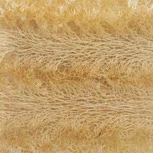 Close-up texture of a natural loofah sponge emphasizing its fibrous network, representing exfoliating skincare in Loofah Bar Soaps 5.0 oz. | Primal Elements.