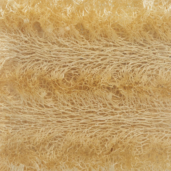 Close-up texture of a natural loofah sponge emphasizing its fibrous network, representing exfoliating skincare in Loofah Bar Soaps 5.0 oz. | Primal Elements.