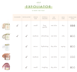 Comparison chart of exfoliators showing different products with details on cleanser and exfoliator use, grain size, overall feeling, recommended skin type, and hydration level, featuring Illumination Fruit Professional Strength Brightening Fruit Acid Peel