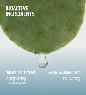 Close-up of a prickly pear pad with a droplet falling, highlighting bioactive ingredients including prickly pear extract for strengthening the skin barrier and macro hyaluronic acid for moisturizing, emphasizing Hydramemory Hydra Plump Mask | [ comfort zo
